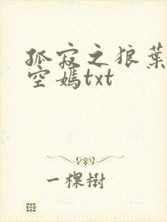 孤寂之狼叶凡司空嫣txt