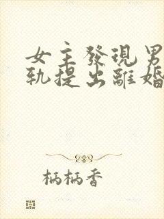 女主发现男主出轨提出离婚的小说
