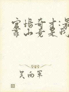 官场奇才:最强靠山竟是我自己李澜小说最