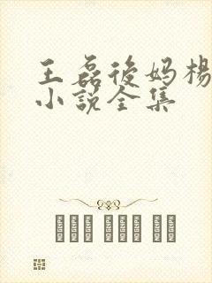 王磊后妈杨晓芬小说全集