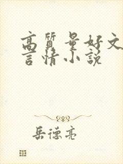 高质量好文笔的言情小说