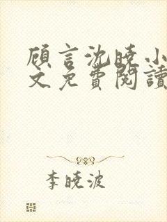 顾言沈晓小说全文免费阅读封面