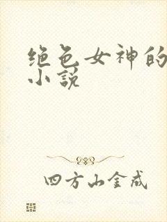 绝色女神的堕落小说