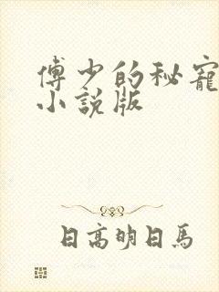 傅少的秘宠娇妻小说版