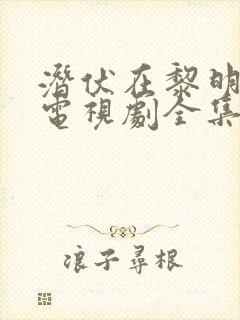 潜伏在黎明之前电视剧全集免费观看