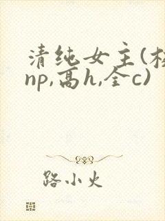 清纯女主(校园np,高h,全c)封面