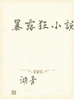 暴露狂小说