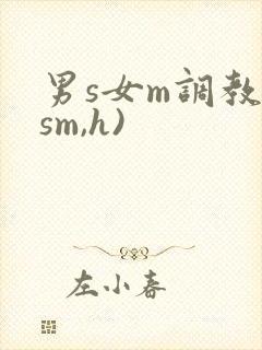 男s女m调教(sm,h)