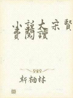 小说大宋贤王免费阅读