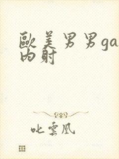 欧美男男gay内射