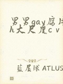 男男gay腐片h大尺度cⅴ小蓝