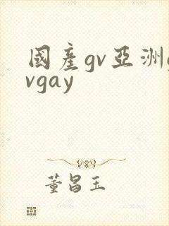 国产gv亚洲gvgay