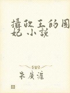 摄政王的团宠医妃 小说