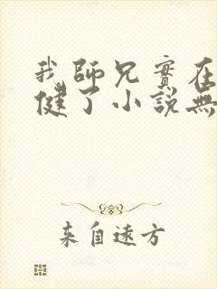 我师兄实在太稳健了小说无删减正版在线阅读