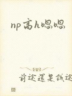 np高h嗯嗯
