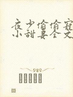 夜少偷偷宠他的小甜妻全文阅读封面