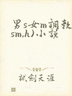 男s女m调教(sm,h)小说