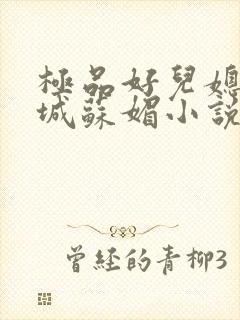 极品好儿媳赵春城苏媚小说阅读全文