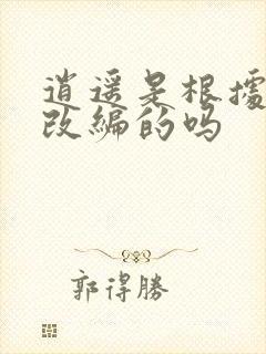 逍遥是根据小说改编的吗封面