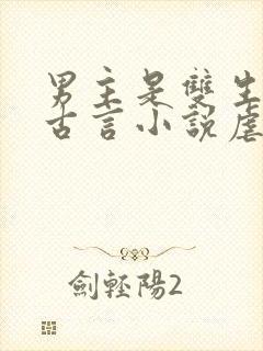 男主是双生子的古言小说虐文