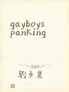 gayboyspanking封面