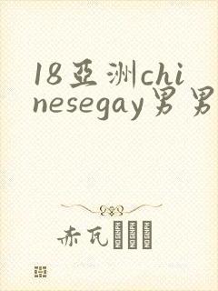 18亚洲chinesegay男男1069