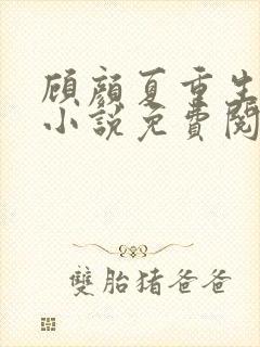 顾颜夏重生归来小说免费阅读