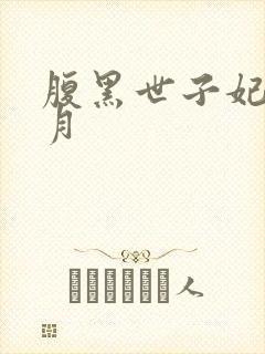 腹黑世子妃 沉月