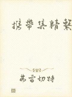 携带集精系统
