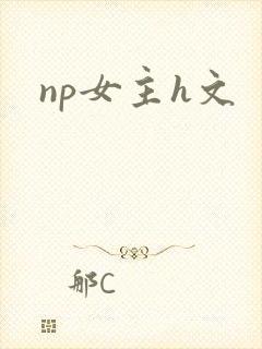 np女主h文封面