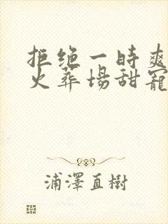 拒绝一时爽追妻火葬场甜宠文