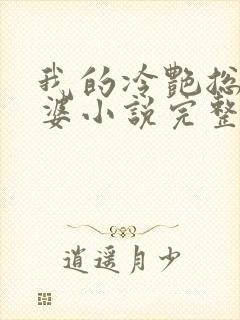 我的冷艳总裁老婆小说完整版