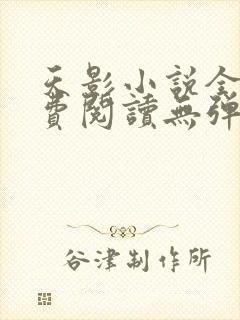 天影小说全文免费阅读无弹窗