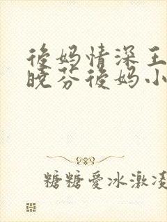后妈情深王磊杨晓芬后妈小说封面