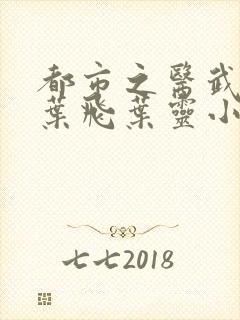 都市之医武狂少叶飞叶灵小说封面