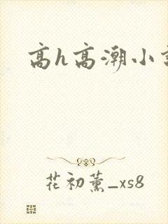 高h高潮小说