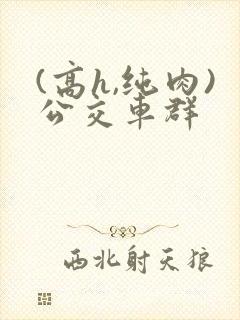 (高h,纯肉)公交车群封面