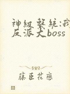 神级系统:我是反派大boss