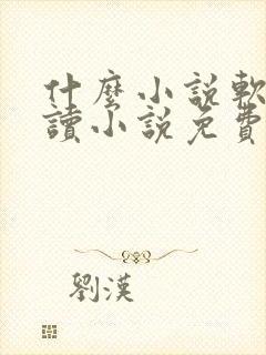 什么小说软件阅读小说免费