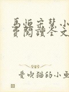 马恒宋慧小说免费阅读全文无弹窗封面