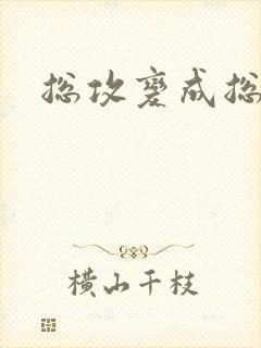 总攻变成总受