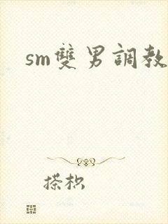 sm双男调教文