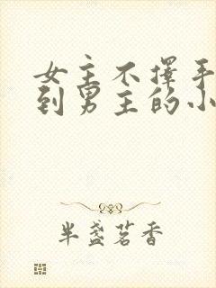 女主不择手段得到男主的小说