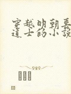 穿越明朝嘉靖当道士的小说
