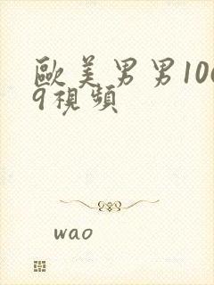 欧美男男1069视频