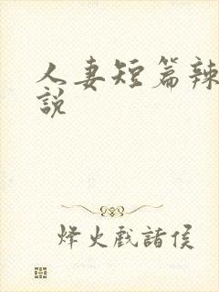 人妻短篇辣文小说