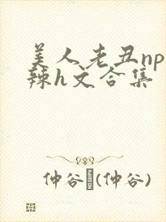 美人老丑np高辣h文合集