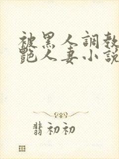 被黑人调教的冷艳人妻小说封面