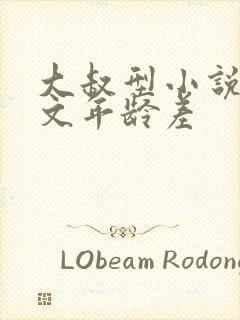 大叔型小说甜宠文年龄差