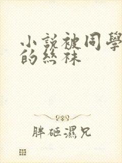 小说被同学凌辱的丝袜